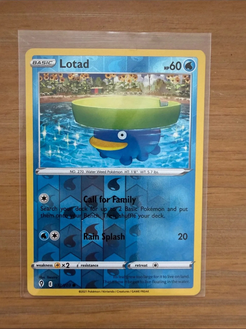 Lotad, Lombre & Ludicolo Evolution Lot | 3 Pokémon Cards ✨5/$25✨